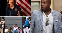 Rep. Wesley Hunt probes how many of New Yorkâs 670K illegal immigrants are on Medicaid